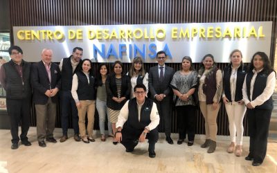 Reunión de Trabajo en el CEDEM