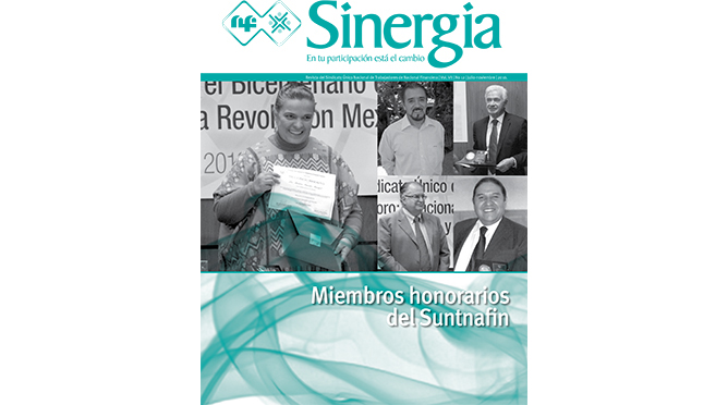Revista Sinergia, No. 12, Año 2010