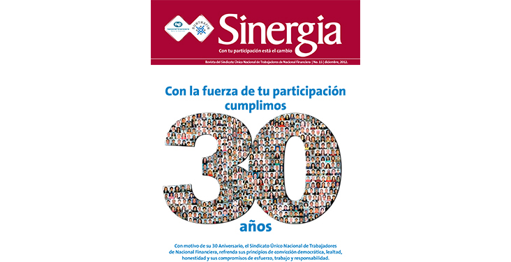 Revista Sinergia, No. 15, Año 2012