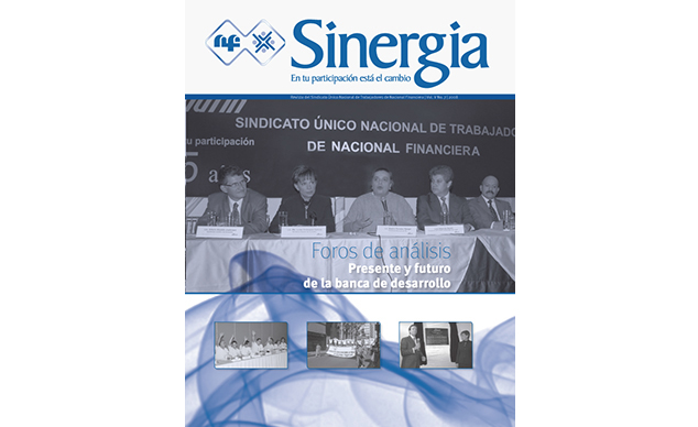 Revista Sinergia, No. 7, Año 2008