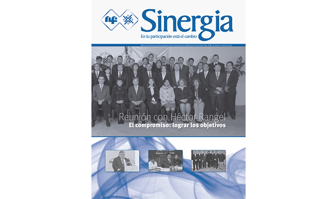 Revista Sinergia, No. 08, Año 2009